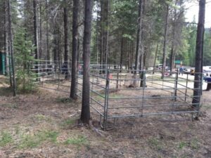 Trapping Creek