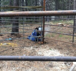 Trapping Creek