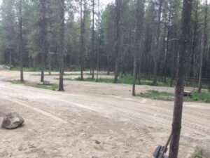 Trapping Creek