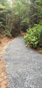 Spruce Loop Trail