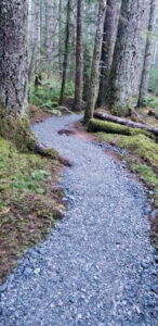 Spruce Loop Trail