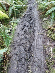 Pickle Road Trail Rehabilitation