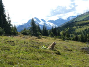 Belle Mountain Equine Campground and Trail Network