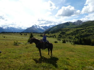 Belle Mountain Equine Campground and Trail Network