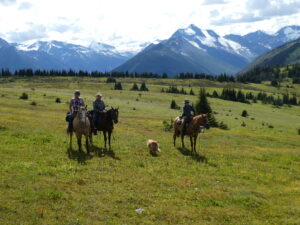 Belle Mountain Equine Campground and Trail Network