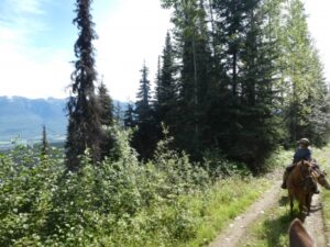 Belle Mountain Equine Campground and Trail Network
