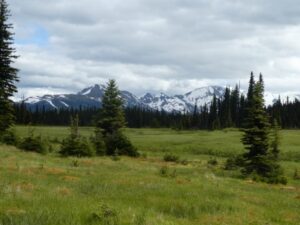 Belle Mountain Equine Campground and Trail Network