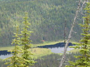 Belle Mountain Equine Campground and Trail Network