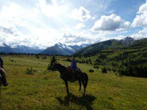 Belle Mountain Equine Campground and Trail Network