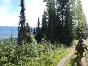 Belle Mountain Equine Campground and Trail Network