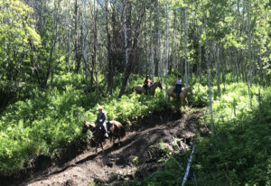 Coalmine Camp
