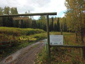 Coalmine Camp