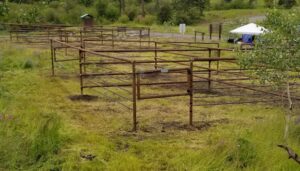 Harmon/Kane Lake Recreation Area Equestrian Campground