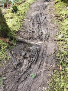 Pickle Road Trail Rehabilitation