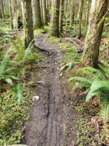 Pickle Road Trail Rehabilitation