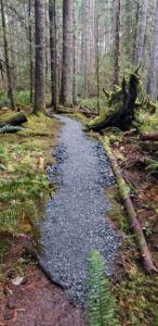 Pickle Road Trail Rehabilitation
