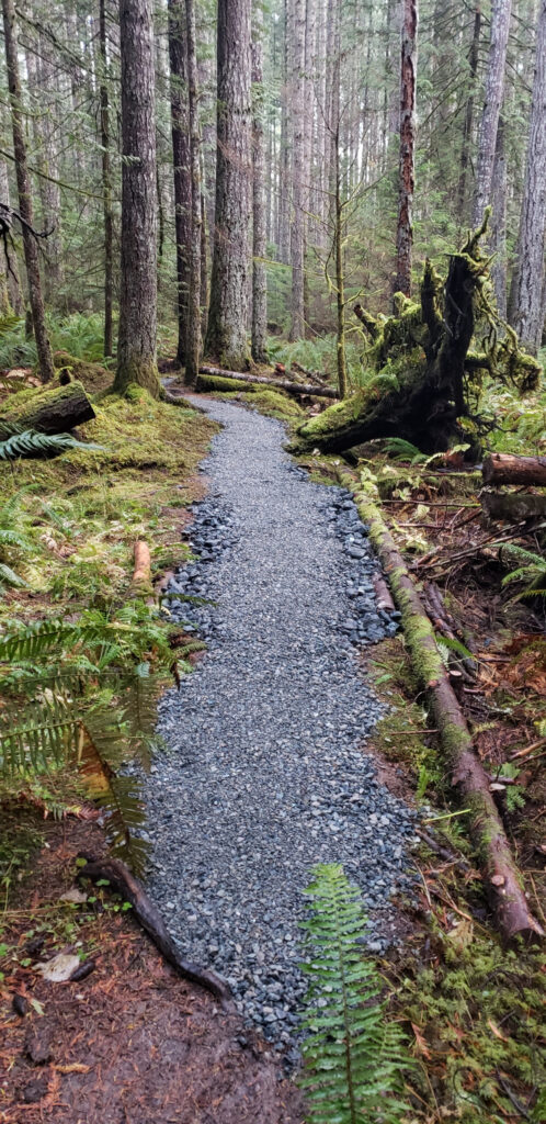 Pickle Road Trail Rehabilitation