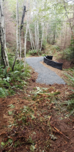 Spruce Loop Trail