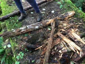Old bridge decking