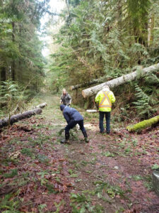 Alberni Valley Log Train Project