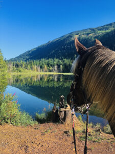 Alberni Valley Log Train Project