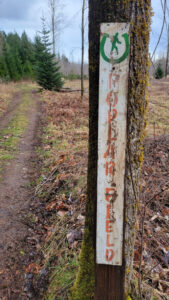 Alberni Valley Log Train Project