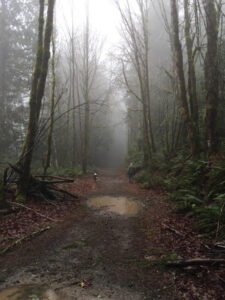 Alberni Valley Log Train Project