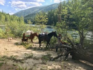 Wells Gray Equestrian Camp
