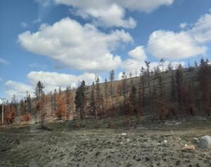Leighton Lake Equestrian Camp