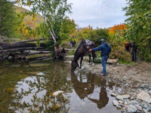 Fishtrap Recreation Campsite