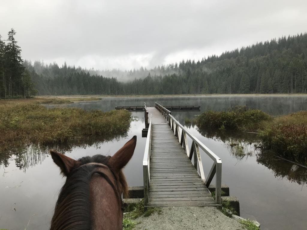 Golden Ears – Woodlands Group Camp