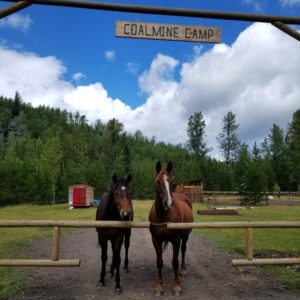 Coalmine Camp