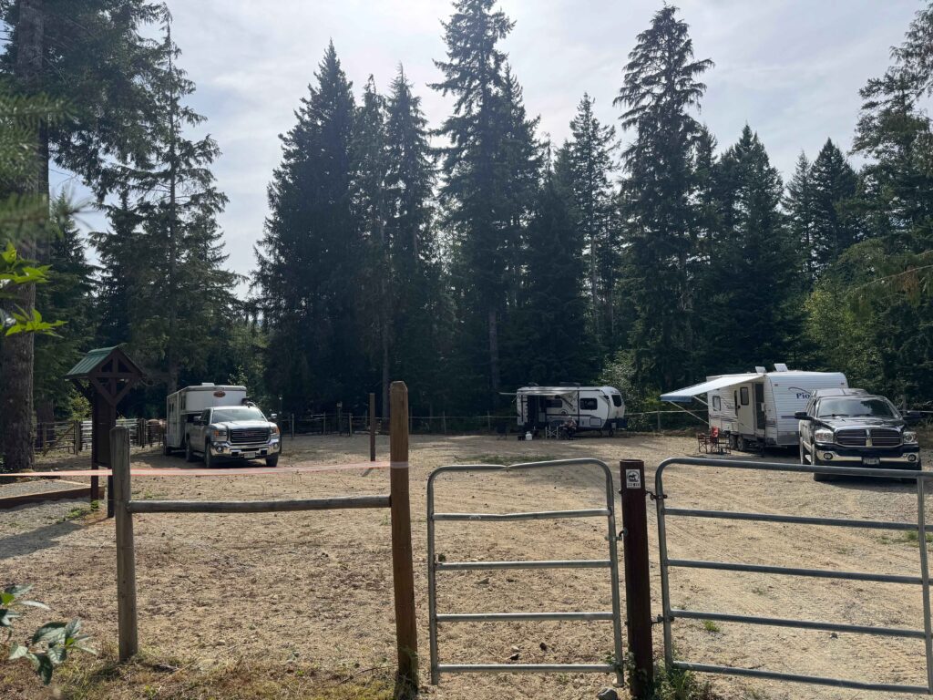 Pine Marten Camp