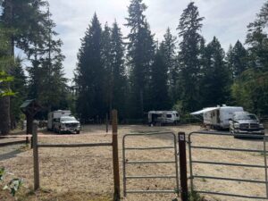 Pine Marten Camp